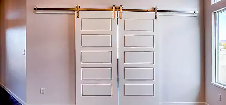 Glass Barn Door with Installation Hardware Kit Fredericksburg