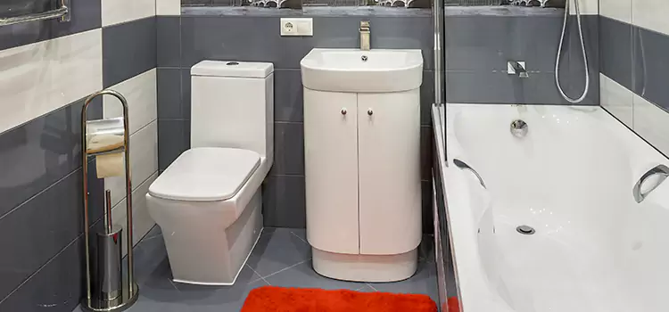 Hansgrohe Shaving Mirror Fredericksburg